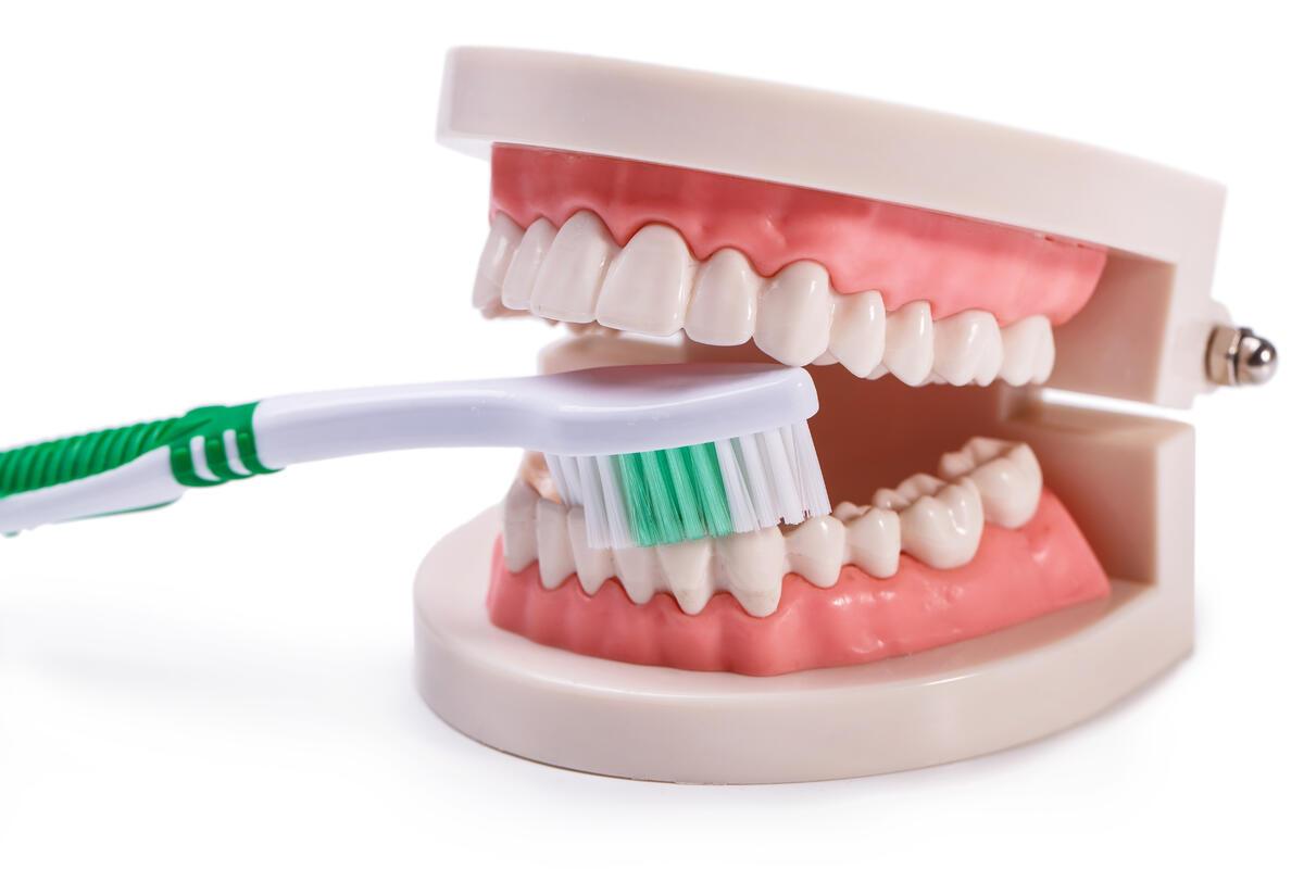 A nagy kérdés: Manuális vagy elekromos fogkefét válasszunk?